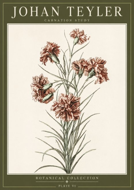 Johan Teyler Carnation Study No3 - Plakat