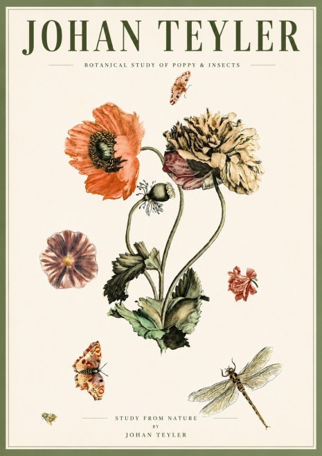 Johan Teyler Botanical Study of Poppy & Insects No5 - Plakat
