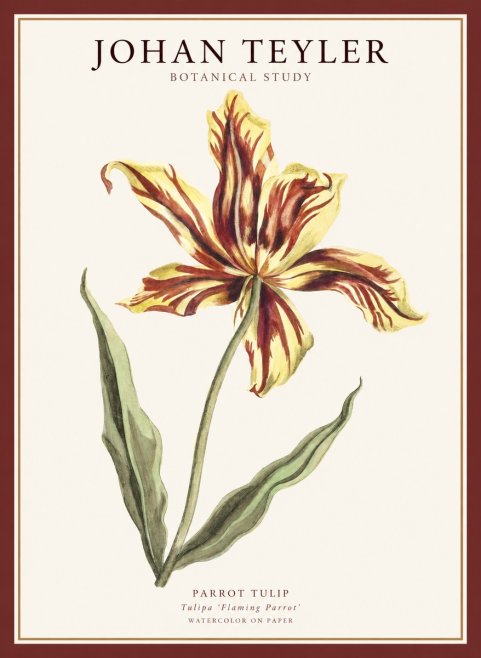 Johan Teyler Floral Study I No5 - Plakat