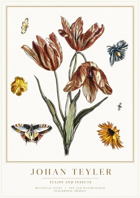 Johan Teyler Tulips and Insects No1 - Plakat