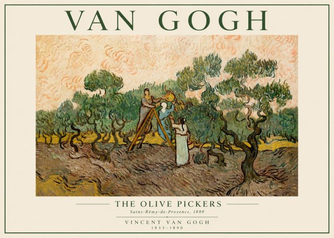 Van Gogh The Olive Pickers No5 - Plakat