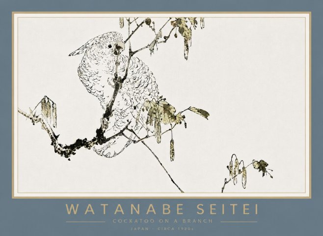 Watanabe Seitei Cockatoo on a Branch No4 - Plakat