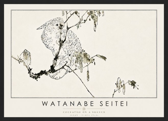 Watanabe Seitei Cockatoo on a Branch No6 - Plakat