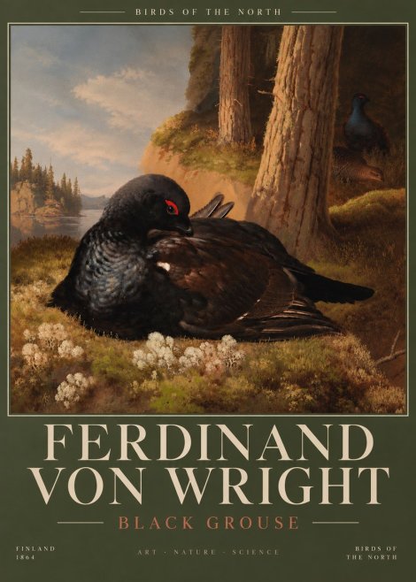 Ferdinand von Wright The Black Grouse No6 - Plakat