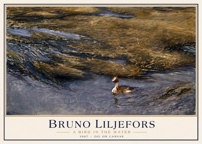 Bruno Liljefors A Bird in the Water No3 - Plakat