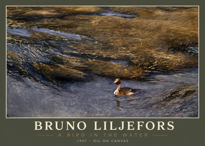 Bruno Liljefors A Bird in the Water No4 - Plakat