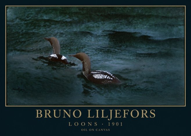 Bruno Liljefors Loons · 1901 No1 - Plakat