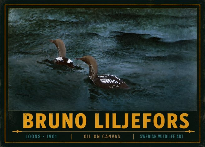 Bruno Liljefors Loons · 1901 No4 - Plakat