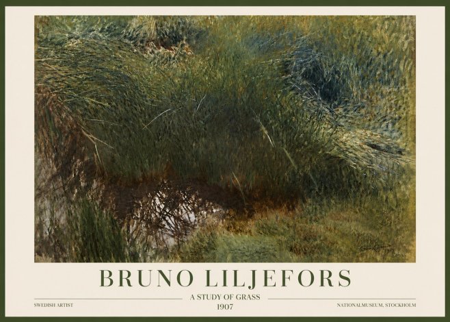 Bruno Liljefors A Study of Grass No3 - Plakat
