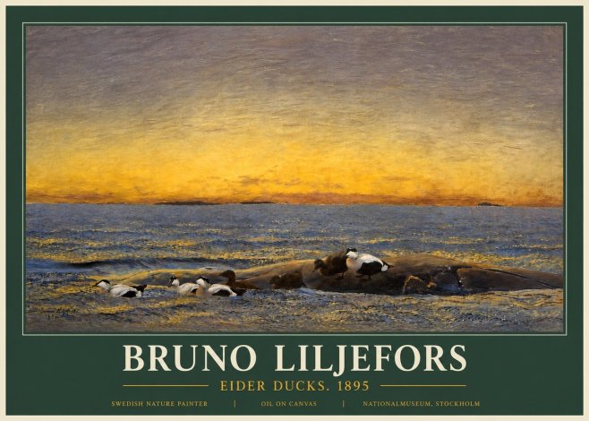 Bruno Liljefors Eider Ducks. 1895 No3 - Plakat