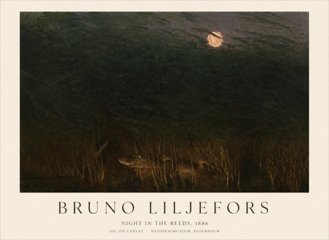 Bruno Liljefors Night in the Reeds No1 - Plakat