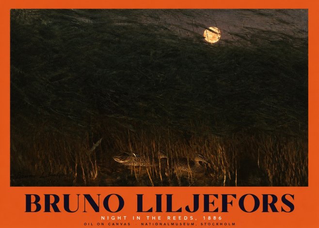 Bruno Liljefors Night in the Reeds No2 - Plakat