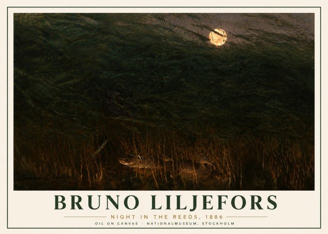 Bruno Liljefors Night in the Reeds No6 - Plakat