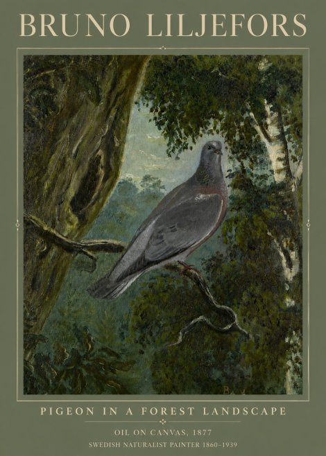 Bruno Liljefors Pigeon in a Forest Landscape No3 - Plakat
