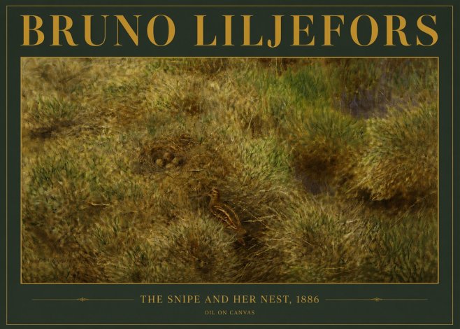 Bruno Liljefors The Snipe and Her Nest No4 - Plakat