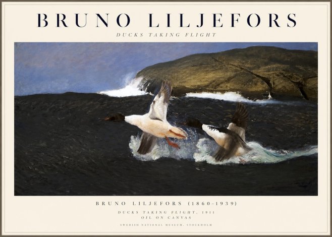 Bruno Liljefors Ducks Taking Flight No1 - Plakat