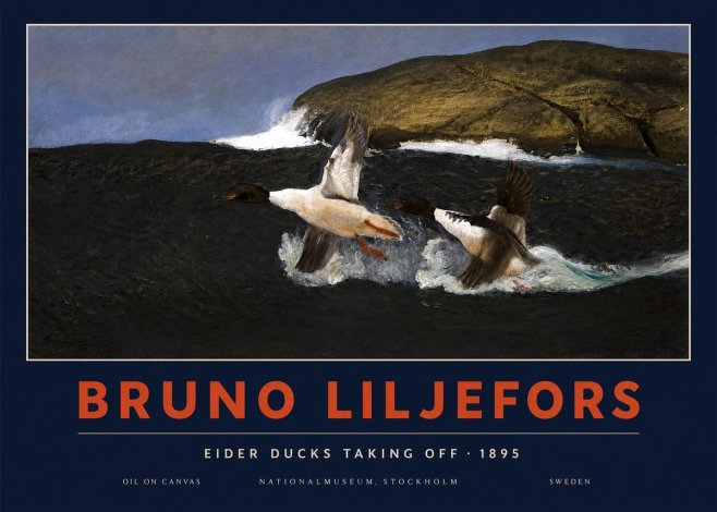 Bruno Liljefors Ducks Taking Flight No4 - Plakat