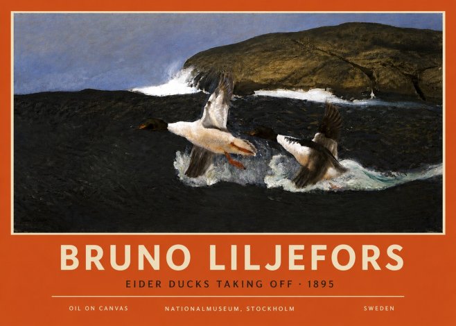 Bruno Liljefors Ducks Taking Flight No6 - Plakat