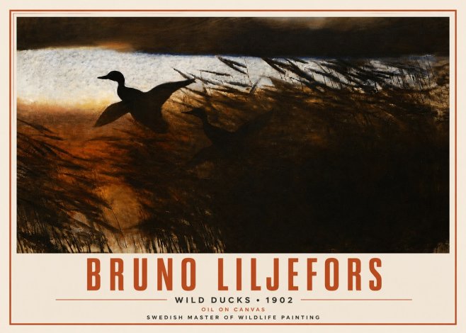 Bruno Liljefors Wild Ducks II No4 - Plakat