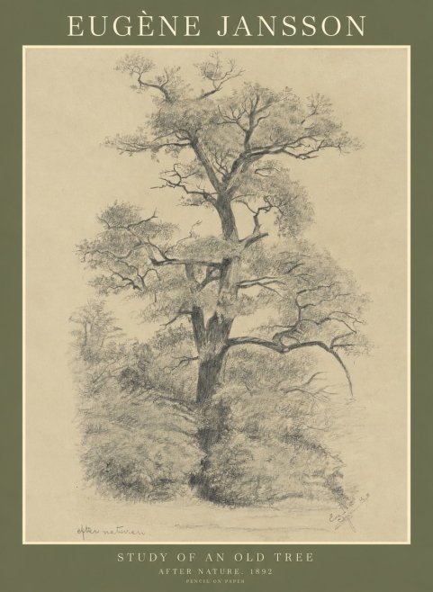 Eugène Jansson Study of an Old Tree No1 - Plakat