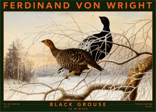 Ferdinand von Wright Black Grouse in Winter No2 - Plakat