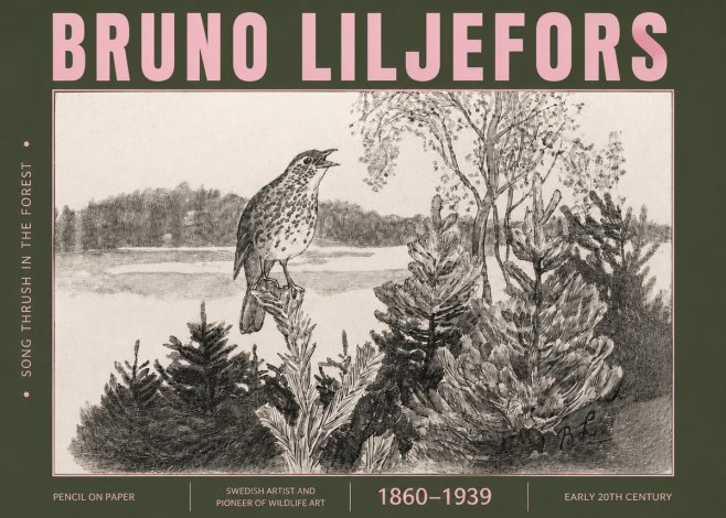 Bruno Liljefors Song Thrush in the Forest No4 - Plakat