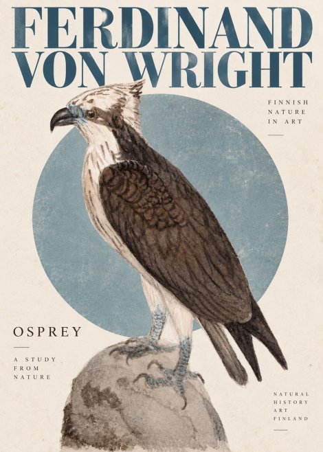Ferdinand von Wright Osprey No4 - Plakat