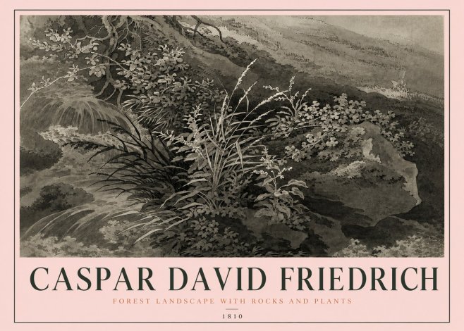 Caspar David Friedrich Forest Landscape with Rocks and Plants No4 - Plakat