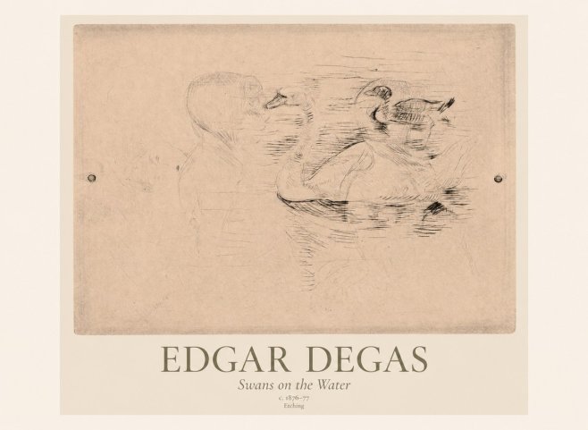Edgar Degas Swans on the Water No1 - Plakat