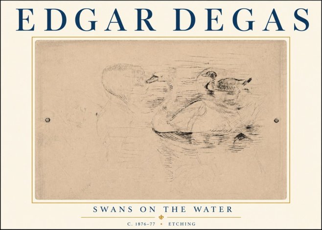 Edgar Degas Swans on the Water No6 - Plakat
