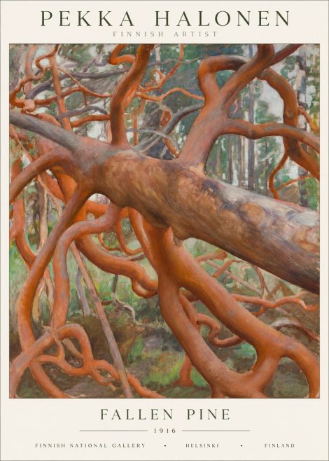 Pekka Halonen Fallen Pine No1 - Plakat