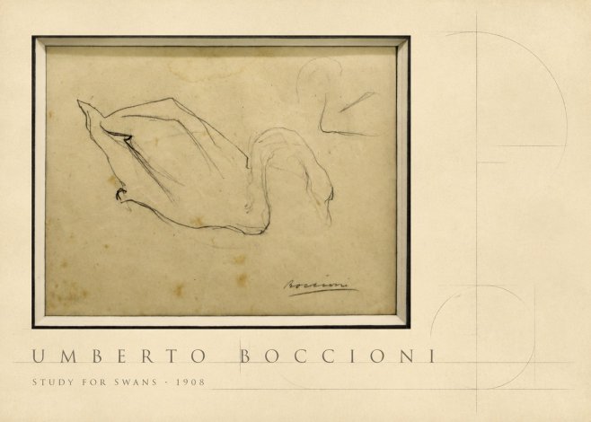 Umberto Boccioni Study for Swans No4 - Plakat
