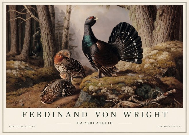 Ferdinand von Wright Wood Grouse in a Forest Landscape No5 - Plakat