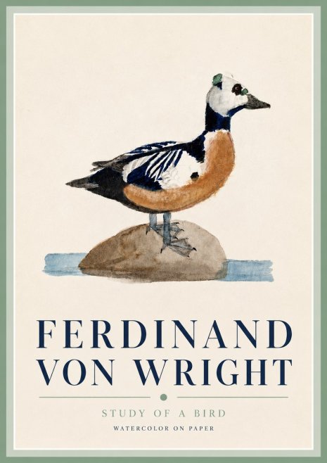 Ferdinand von Wright Study of a Bird No3 - Plakat