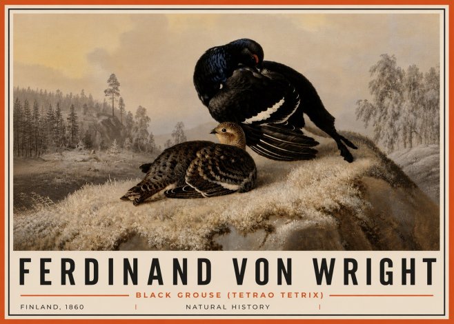 Ferdinand von Wright Black Grouse (Tetrao Tetrix) No6 - Plakat