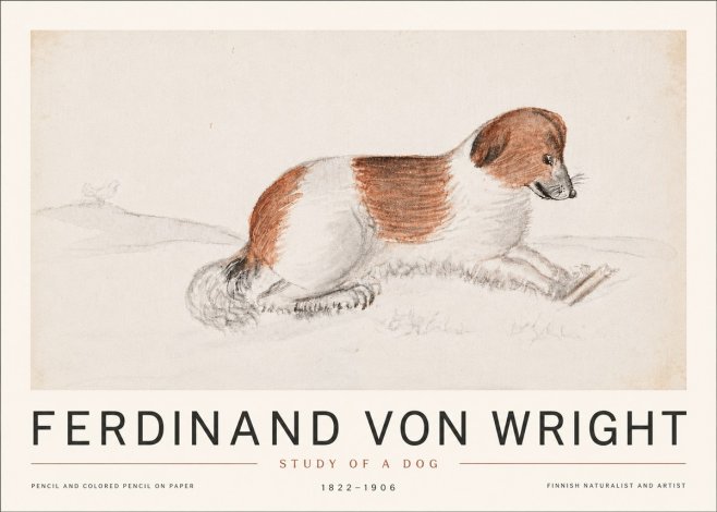 Ferdinand von Wright Study of a Dog No6 - Plakat
