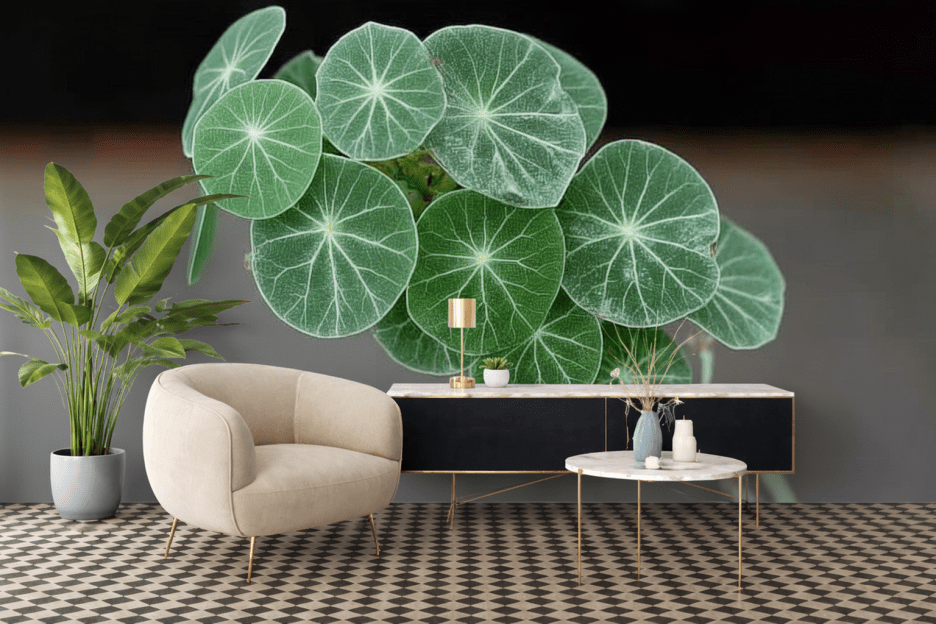 Vein Patterned Leaves