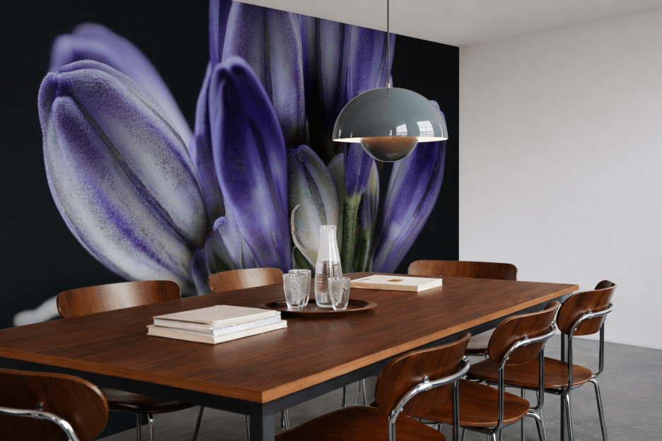 Fjord Reverberations