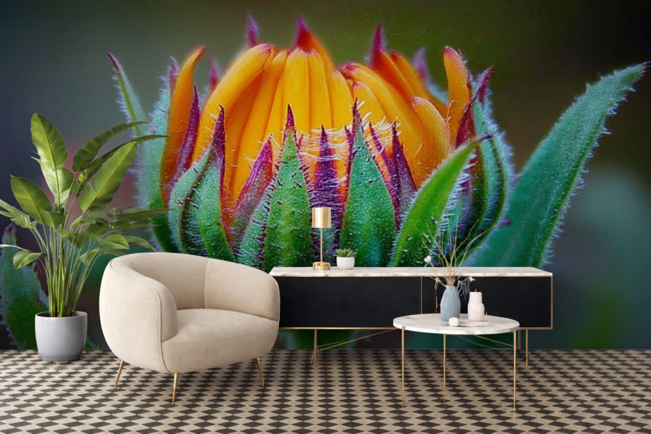 Desert Bloom