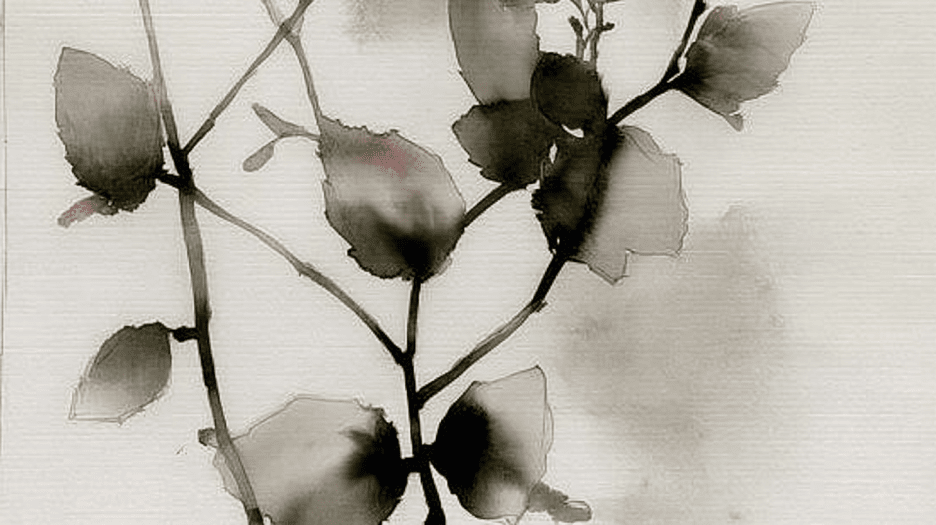 Ink Blossom Currents