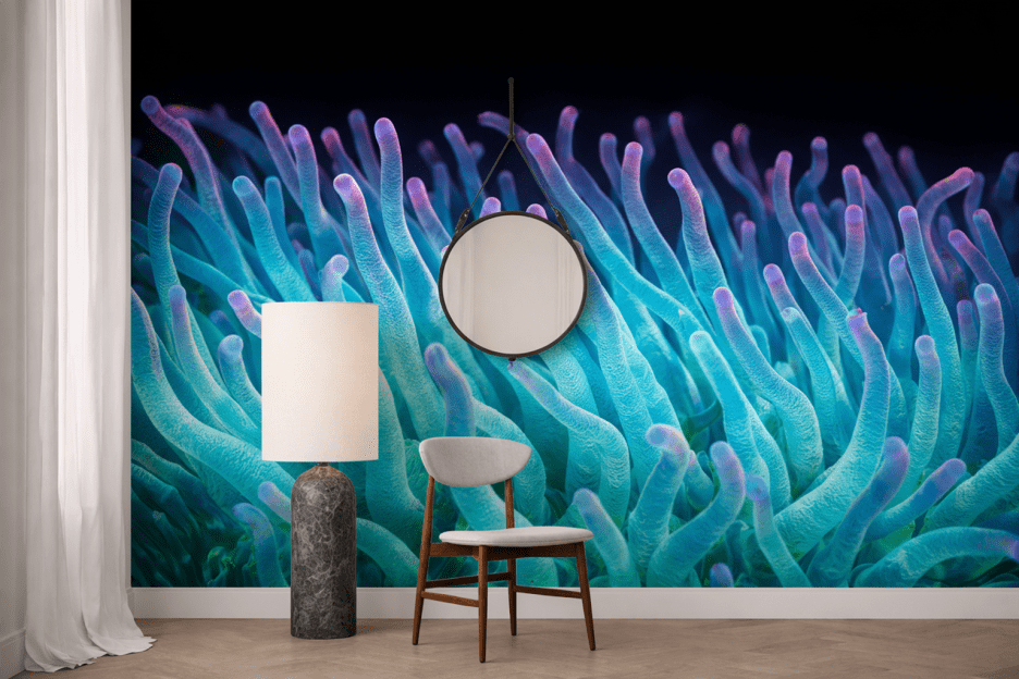 Coral Reefs Tundra