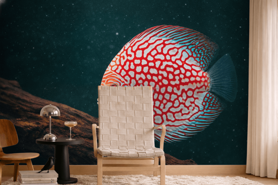 Coral Reef Reverie