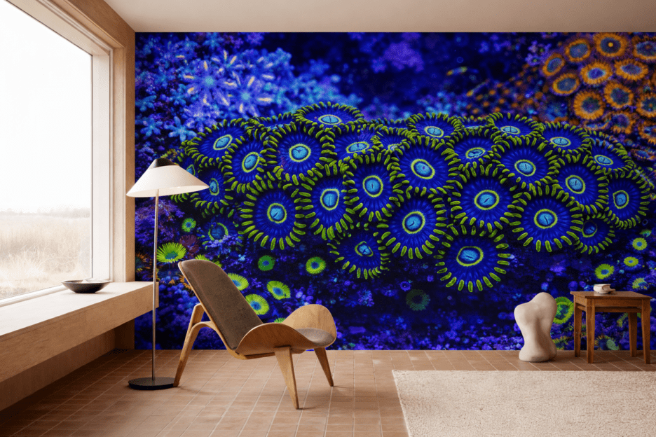 Cyclic Nautilus Veil