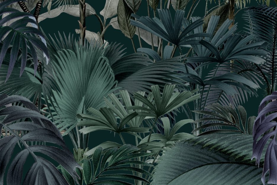 Tropical Canopy