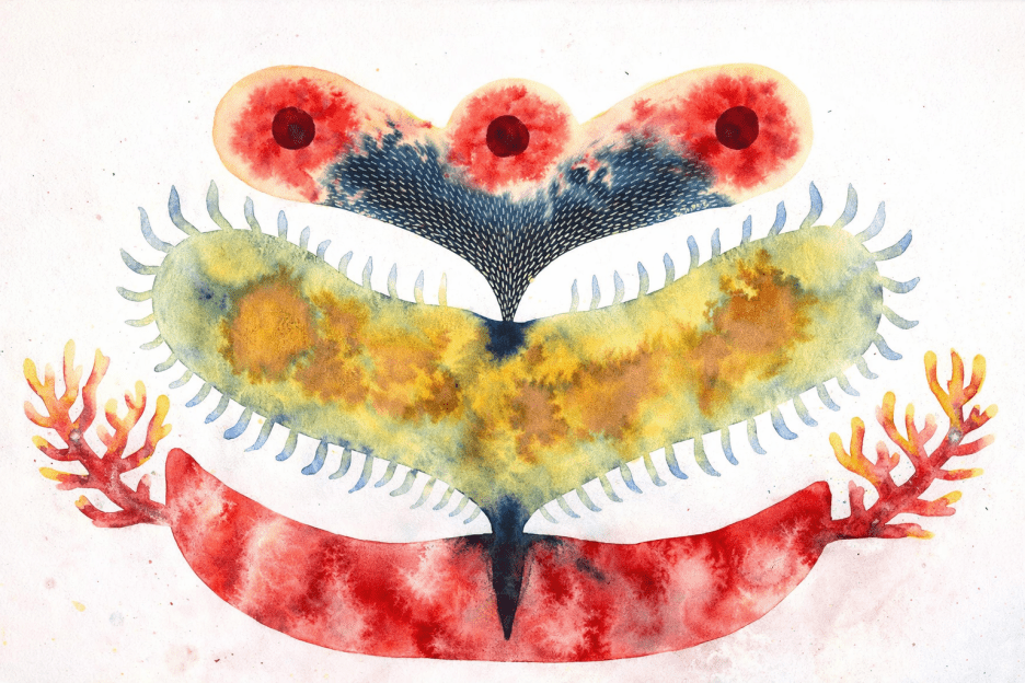 Coral Symphony