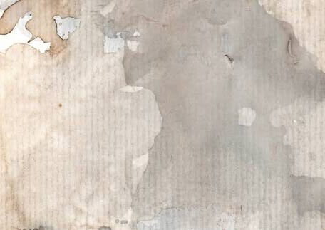 Faded Canopy