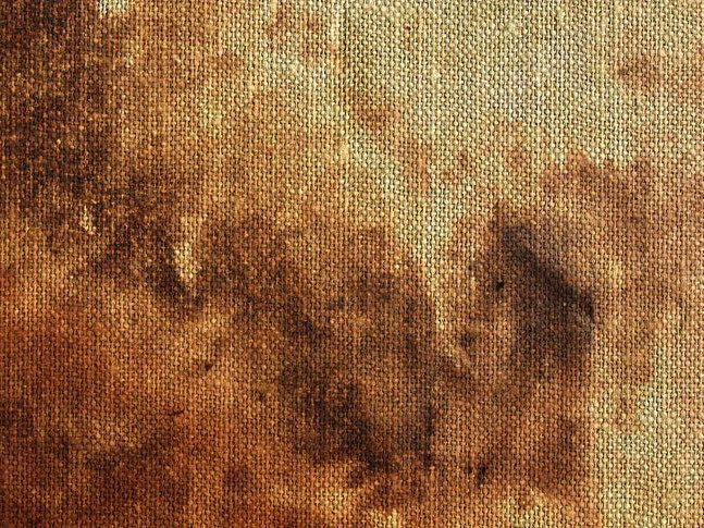 Fossil Embers