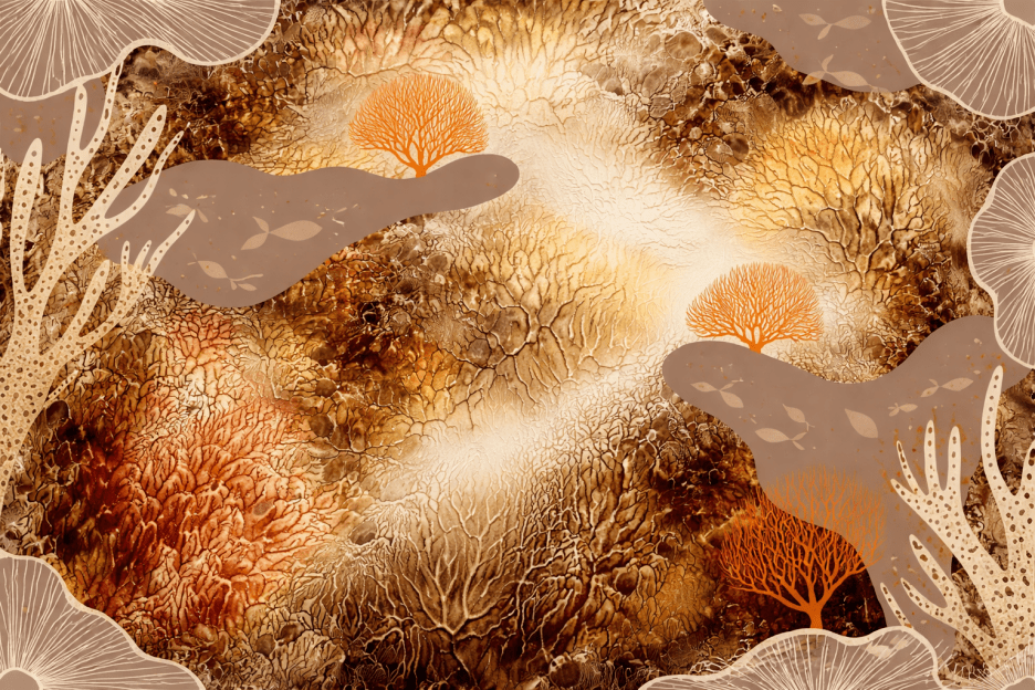 Coral Topography