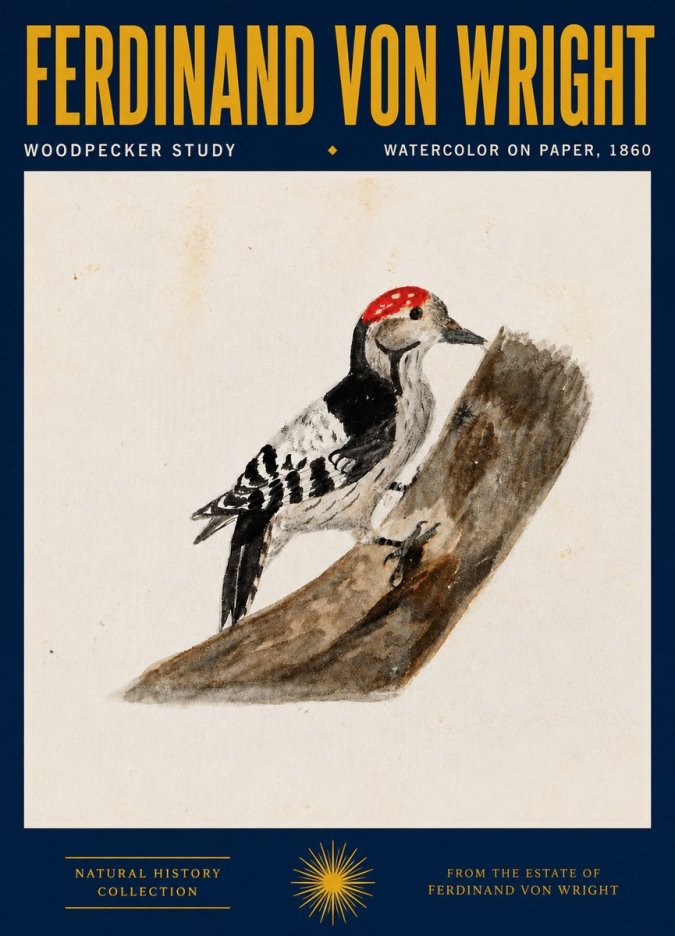 Ferdinand von Wright Woodpecker Study No4 - Plakat