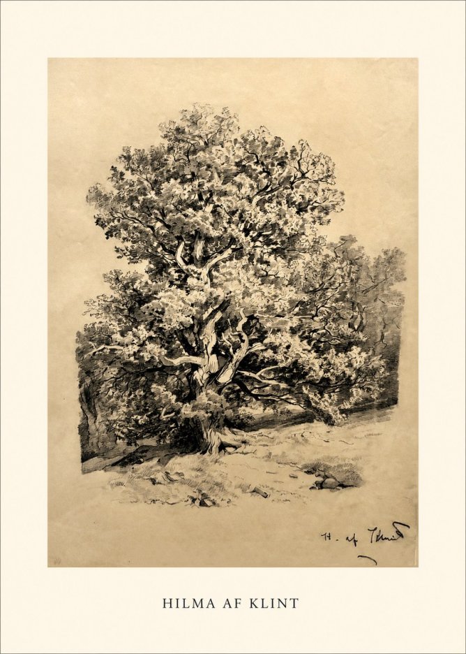 Hilma af Klint Large Tree Landscape No1 - Plakat